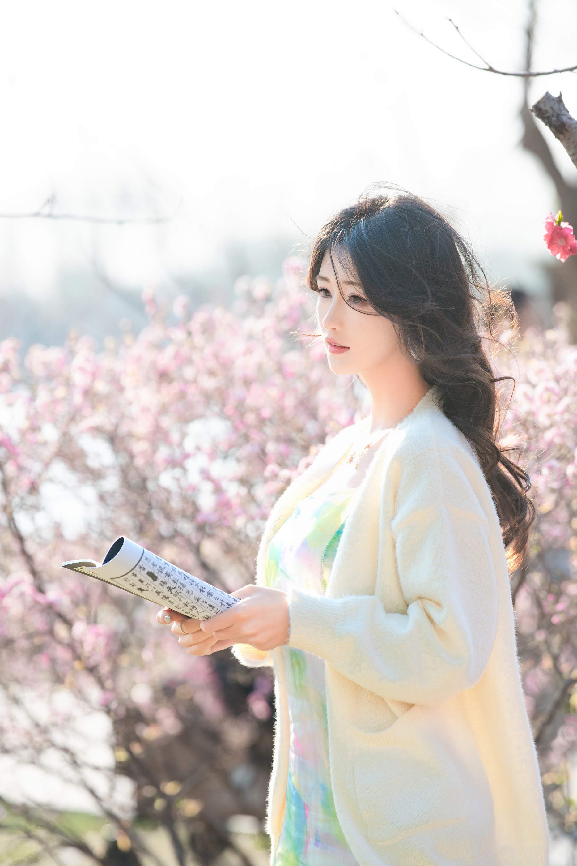 [艺图语] In books there are beauties like jade. Spring lakeside, scrolls and flowers. Lin Yu. 4