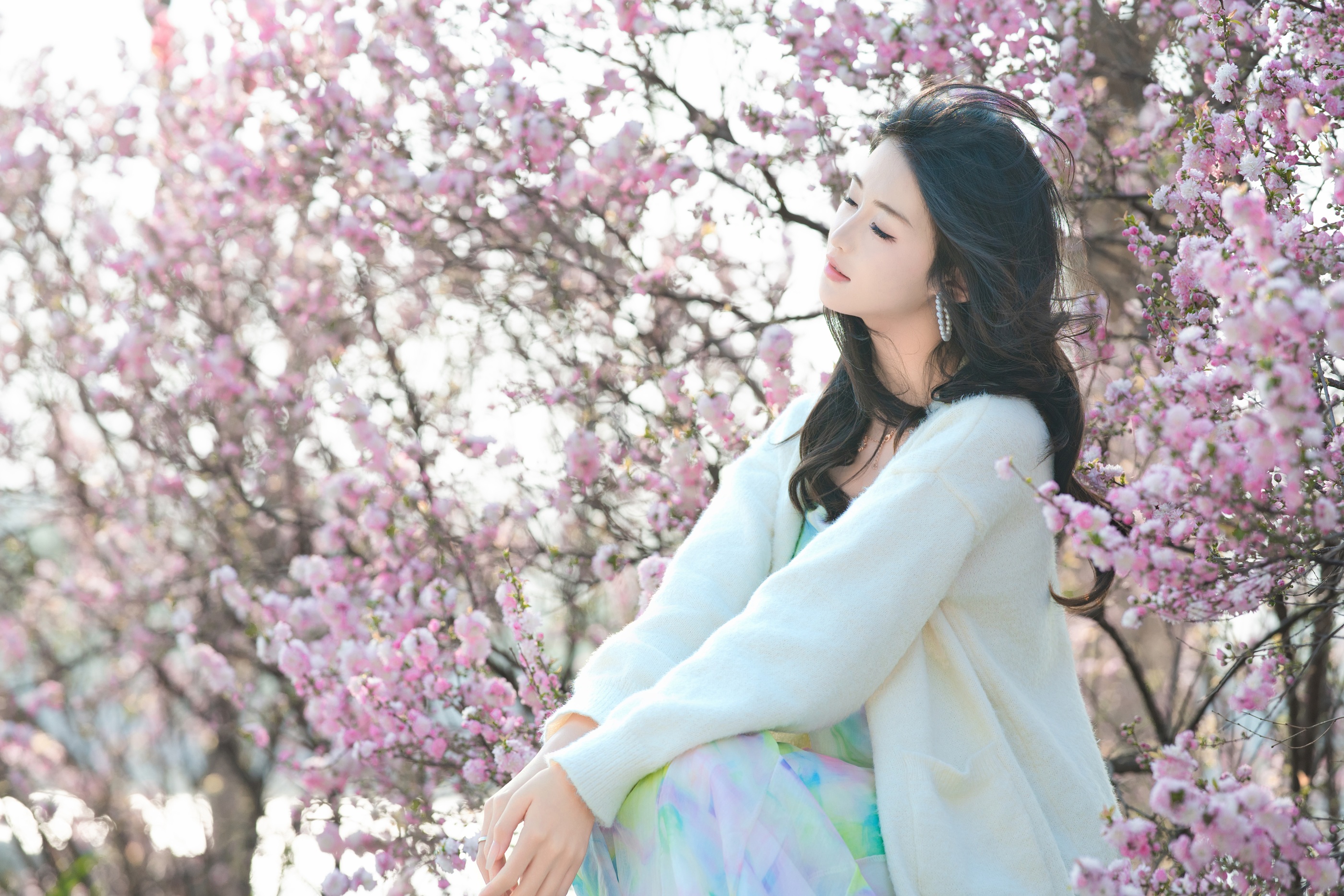[艺图语] In books there are beauties like jade. Spring lakeside, scrolls and flowers. Lin Yu. 2