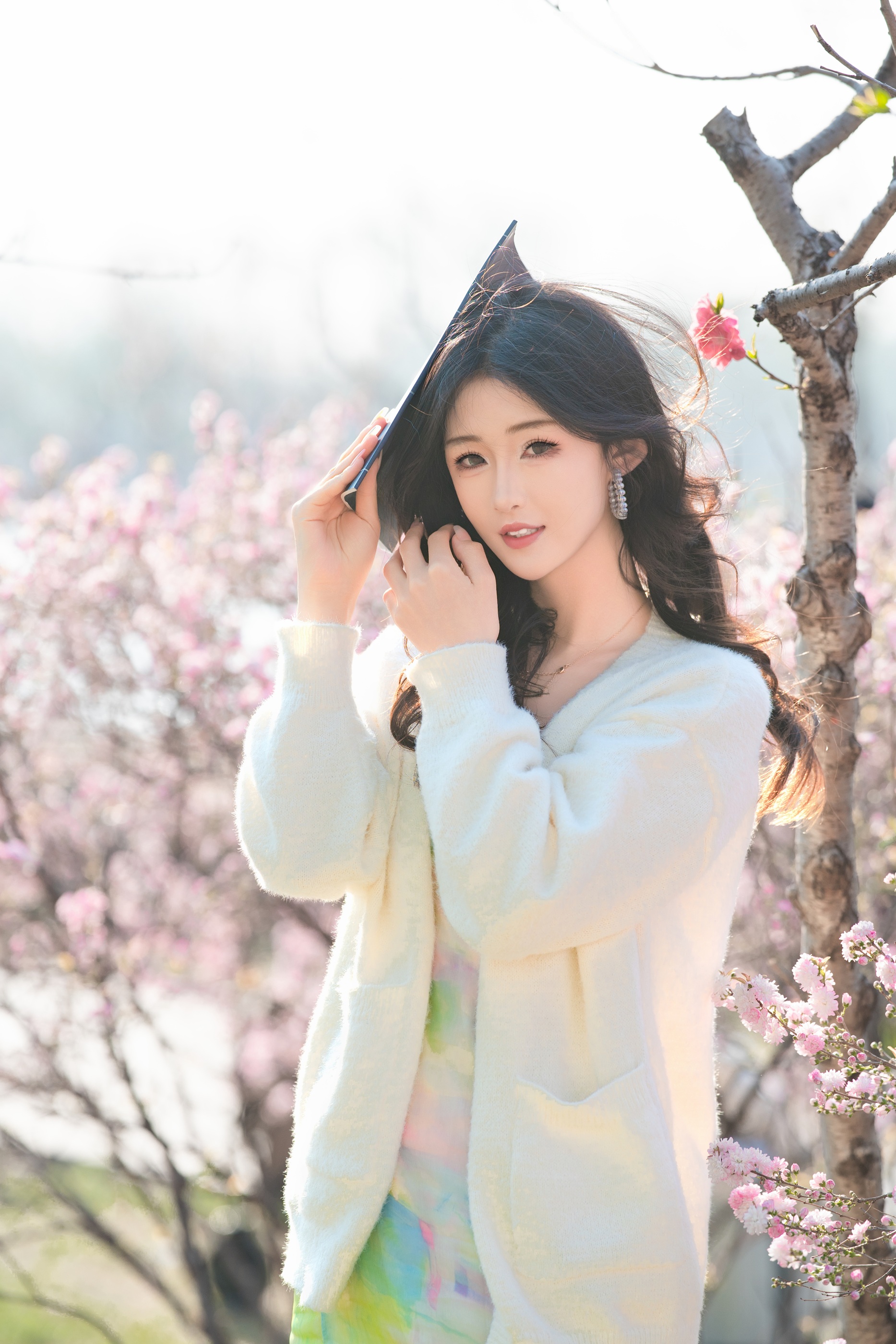 [艺图语] In books there are beauties like jade. Spring lakeside, scrolls and flowers. Lin Yu. 6