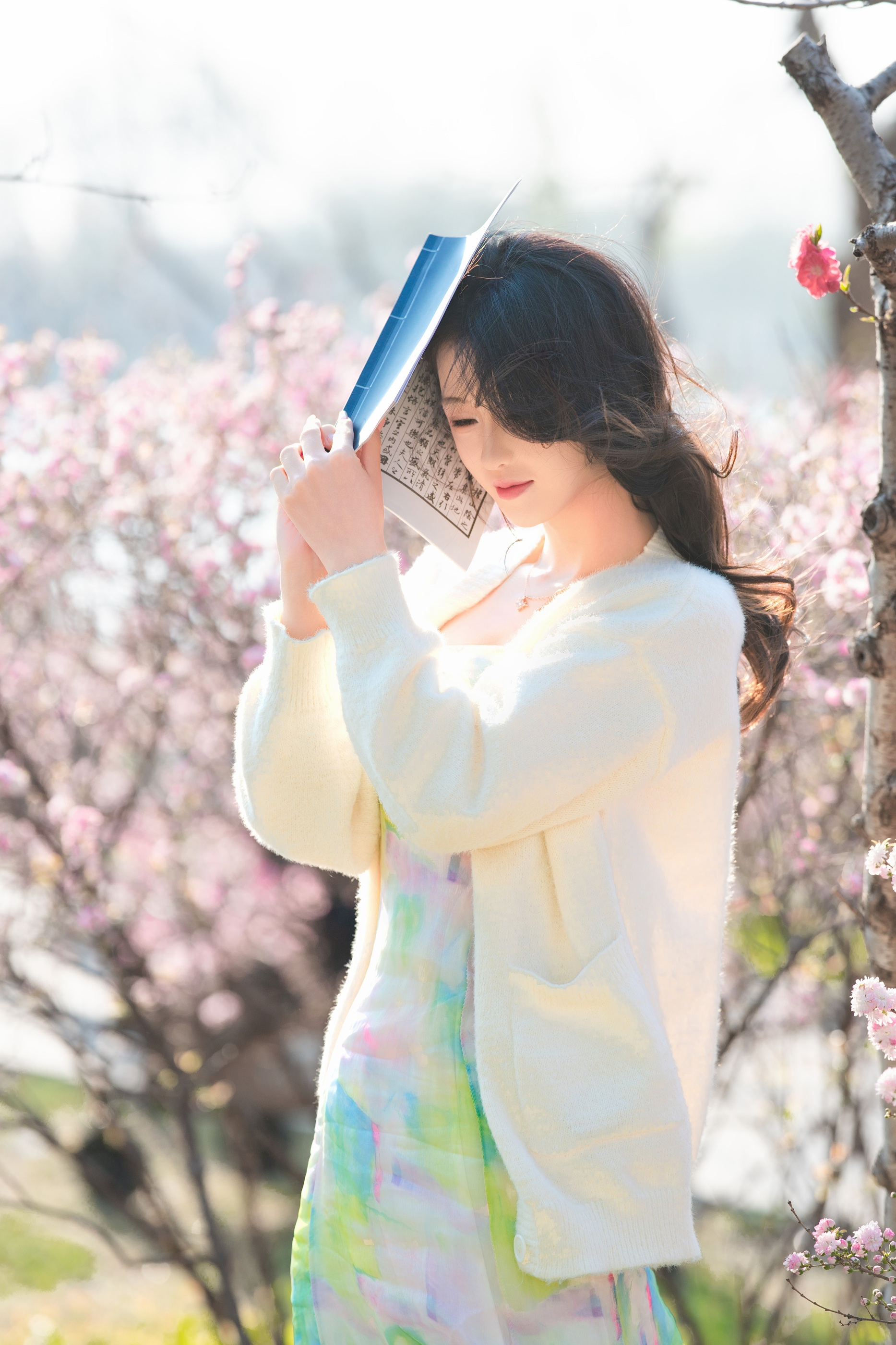 [艺图语] In books there are beauties like jade. Spring lakeside, scrolls and flowers. Lin Yu. 5